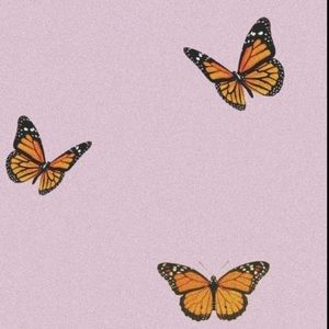 Meet your Posher, Odalys